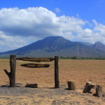 Bring Nature to Home: Inspirasi Warna dari Taman Nasional Baluran